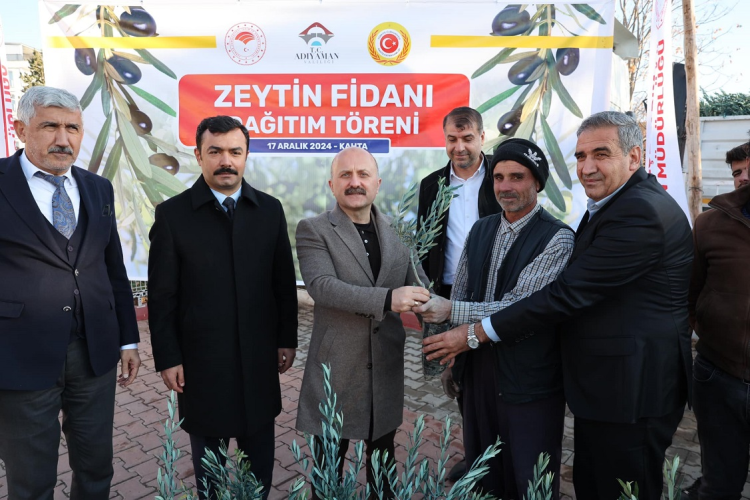 Kahta’da 62 bin zeytin fidanı dağıtıldı