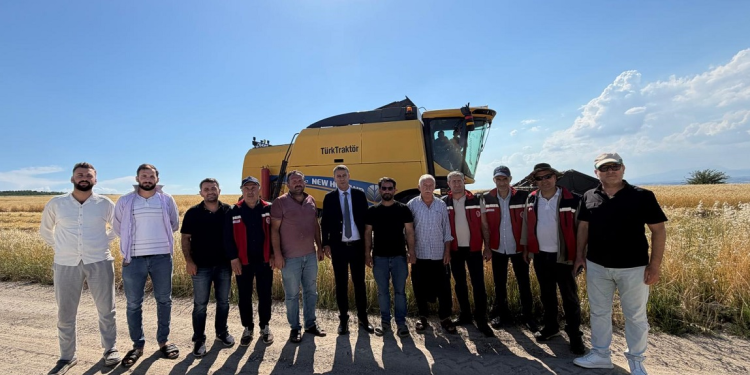 Kahta'da Biçerdöverler  tarlalara girdi